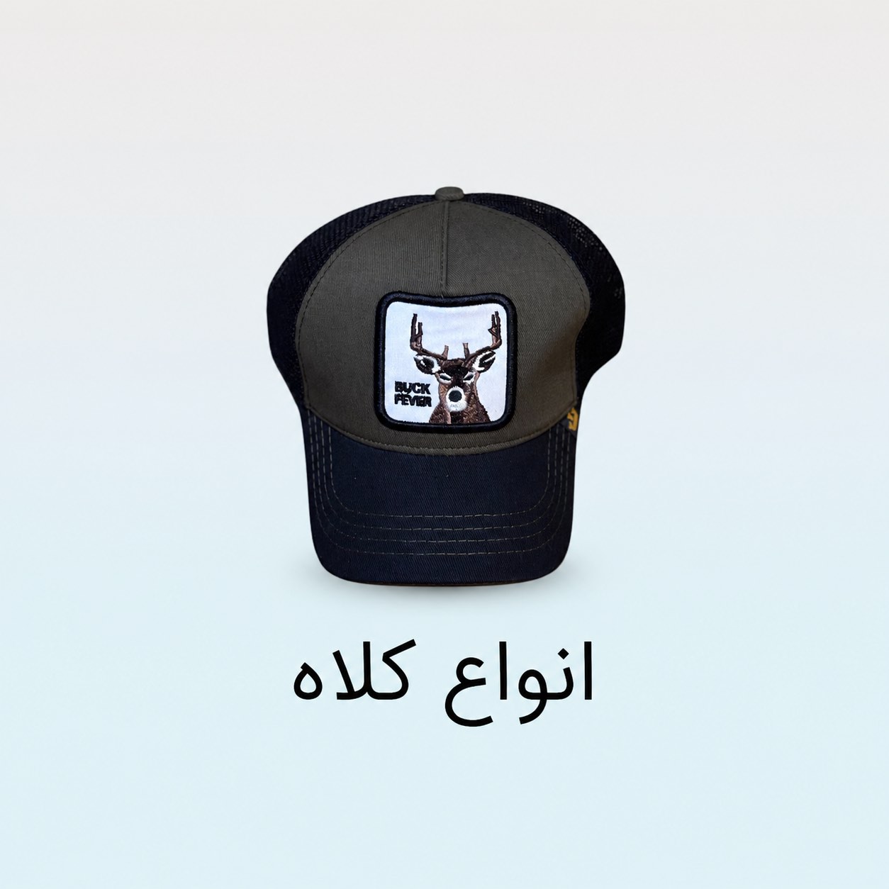 کلاه